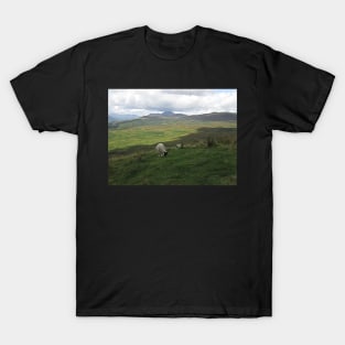 Ben Lomond on Loch Lomond, Scotland T-Shirt